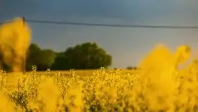 Podsumowanie wiosny 2021, zdjęcia z wielu miejsc - zdjęcie 94