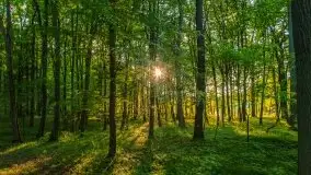 Podsumowanie wiosny 2021, zdjęcia z wielu miejsc - zdjęcie 1