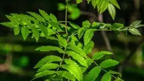 Podsumowanie wiosny 2021, zdjęcia z wielu miejsc - zdjęcie 101