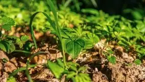 Podsumowanie wiosny 2021, zdjęcia z wielu miejsc - zdjęcie 99