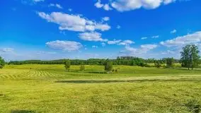 Podsumowanie wiosny 2021, zdjęcia z wielu miejsc - zdjęcie 28