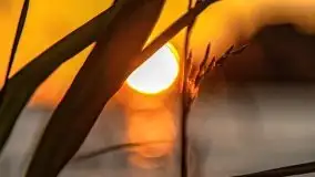 Zachód słońca nad jeziorem Niegocin - zdjęcie 10