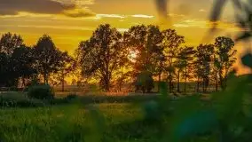 Zachody słońca nad Sztynortem, czerwiec 2021 - zdjęcie 2