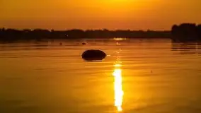 Zachód słońca nad jeziorem Mamry, czerwiec 2021 - zdjęcie 22