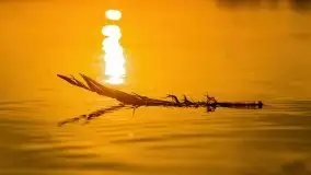 Zachód słońca nad jeziorem Mamry, czerwiec 2021 - zdjęcie 37