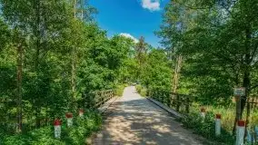 Czerwcowe Mazury, kompilacja niewykorzystanych zdjęć, 2021 - zdjęcie 63