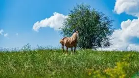 Czerwcowe Mazury, kompilacja niewykorzystanych zdjęć, 2021 - zdjęcie 69