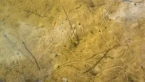 Czerwcowe Mazury, kompilacja niewykorzystanych zdjęć, 2021 - zdjęcie 68