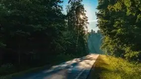 Czerwcowe Mazury, kompilacja niewykorzystanych zdjęć, 2021 - zdjęcie 82