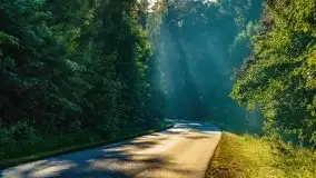 Czerwcowe Mazury, kompilacja niewykorzystanych zdjęć, 2021 - zdjęcie 26