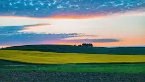 Czerwcowe Mazury, kompilacja niewykorzystanych zdjęć, 2021 - zdjęcie 99