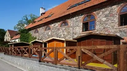 Pensjonat Sztynort - zdjęcie 8