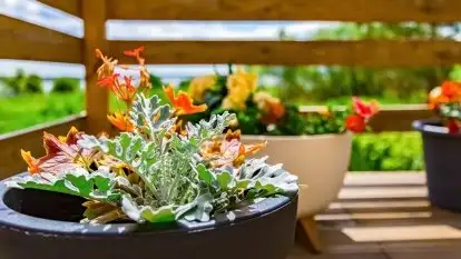 Domek wśród pól - zdjęcie 29