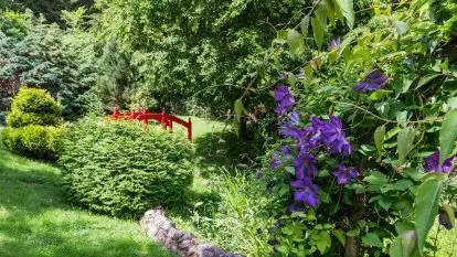 Nowa galeria - zdjęcie 70