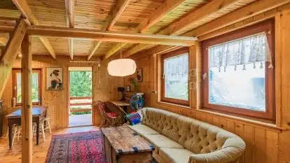 Nowa galeria - zdjęcie 79