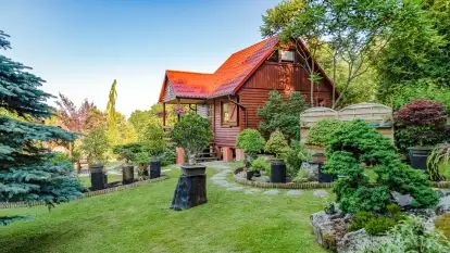 Domek i ogród  Shinrin Yoku  - zdjęcie 3