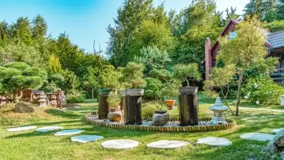 Nowa galeria - zdjęcie 12