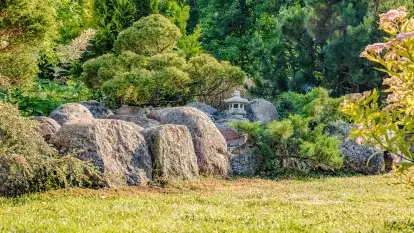 Nowa galeria - zdjęcie 33