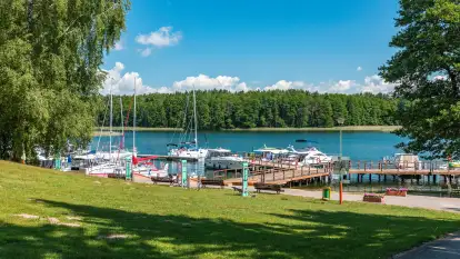 Ośrodek Wypoczynkowy Łabędzi Ostrów - zdjęcie 12