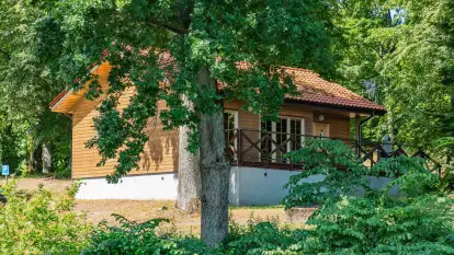 Ośrodek Wypoczynkowy Łabędzi Ostrów - zdjęcie 32