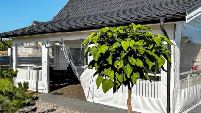 Domek Fuleda - zdjęcie 22