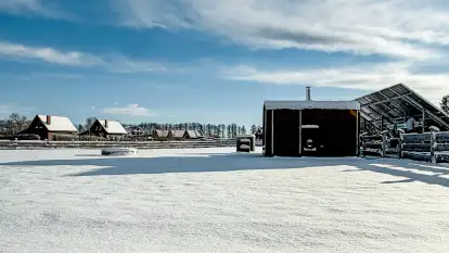 Carpe Diem  - zdjęcie 5