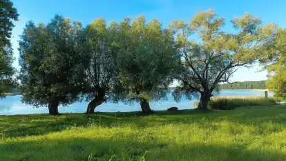 Mazurska Latarnia - zdjęcie 23