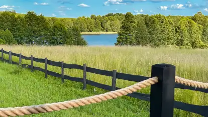 Oazie Żuraw - zdjęcie 6