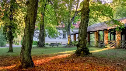 Rezydencja Parkowa - zdjęcie 5