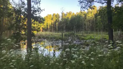 Tu Powoli - zdjęcie 15