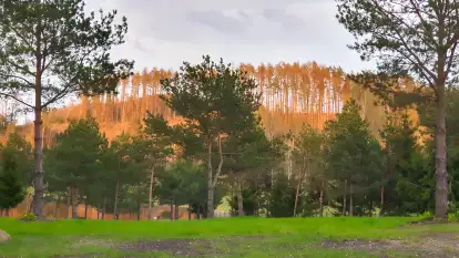 Tu Powoli - zdjęcie 25