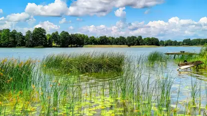 Domek Nad Buwełnem - zdjęcie 25