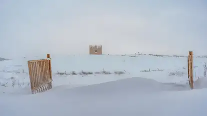 Dom w zbożu - zdjęcie 26