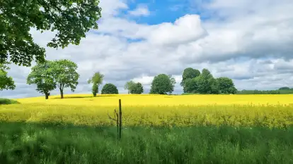 Zacisze Mazurskie - zdjęcie 43