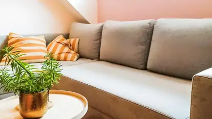 Stary Dom, a może? - zdjęcie 13