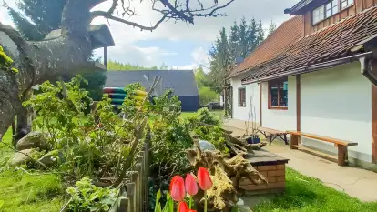 Stary Dom, a może? - zdjęcie 33