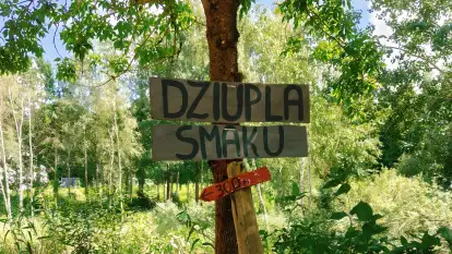 Stary Dom, a może? - zdjęcie 36