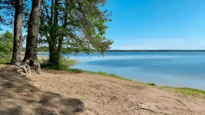 Polana Życzeń Glamping - zdjęcie 37