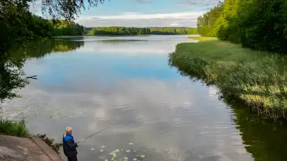 Polana Życzeń Glamping - zdjęcie 38