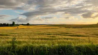 Polana Życzeń Glamping - zdjęcie 36