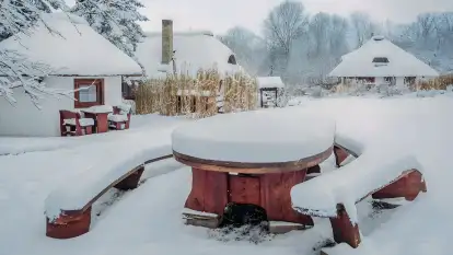 Dworek Króla Stanisława - zdjęcie 38