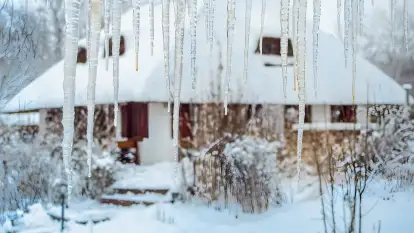 Dworek Króla Stanisława - zdjęcie 36