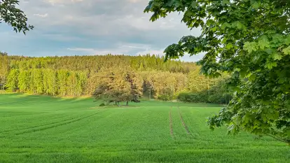 Domek pod Lasem z sauną i banią - zdjęcie 20