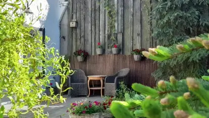 Agroturystyka Ostoja Kamionki - zdjęcie 13