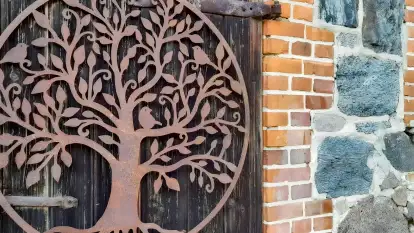 Agroturystyka Ostoja Kamionki - zdjęcie 12