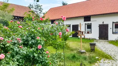 Agroturystyka Ostoja Kamionki - zdjęcie 23