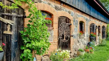 Agroturystyka Ostoja Kamionki - zdjęcie 1