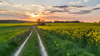Domek na Górce - zdjęcie 4