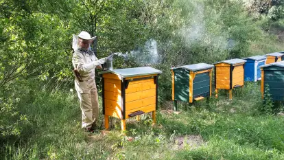 Folwark Perły - zdjęcie 58