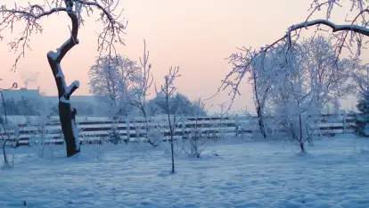 Siedlisko Sabinowo - zdjęcie 48